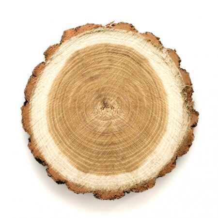 large-circular-piece-wood-cross-section-with-tree-ring-texture-pattern-cracks_101969-420