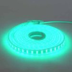 Світлодіодна стрічка COLORADO зелена 220-240V IP65