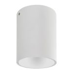 Світильник накладний SALSA-L білий